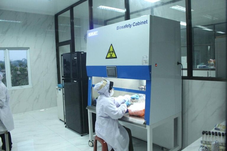 Chitosan for Export: Meets Global Standards