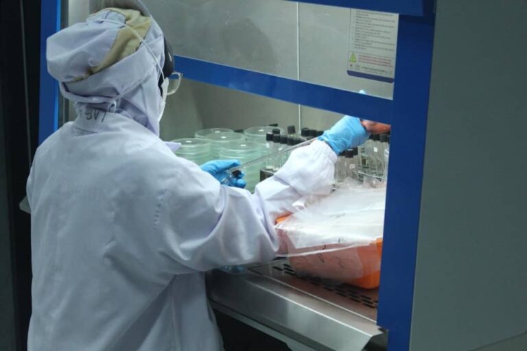 Chitosan vs. Other Biopolymers: Which Is Right for Your Application?