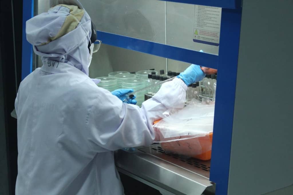 Chitosan vs. Other Biopolymers: Which Is Right for Your Application?