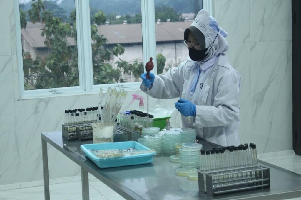 Chitosan vs. Other Biopolymers: Which Is Right for Your Application?