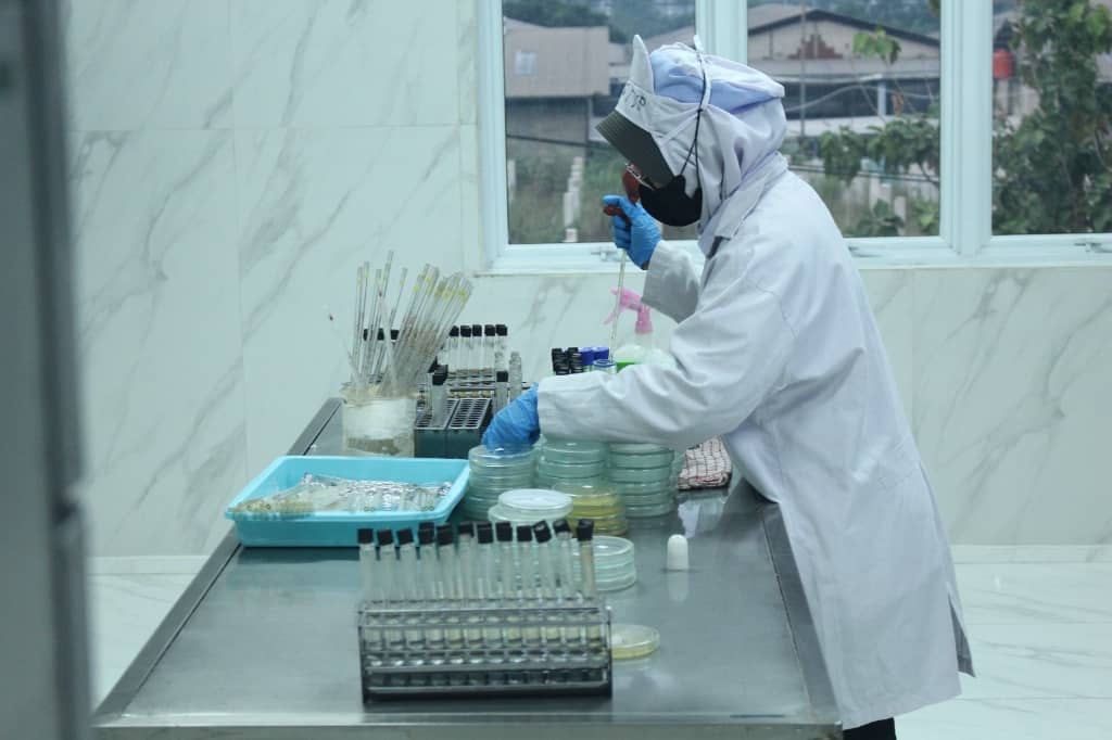 Top 5 Industries Driving Demand for Chitosan