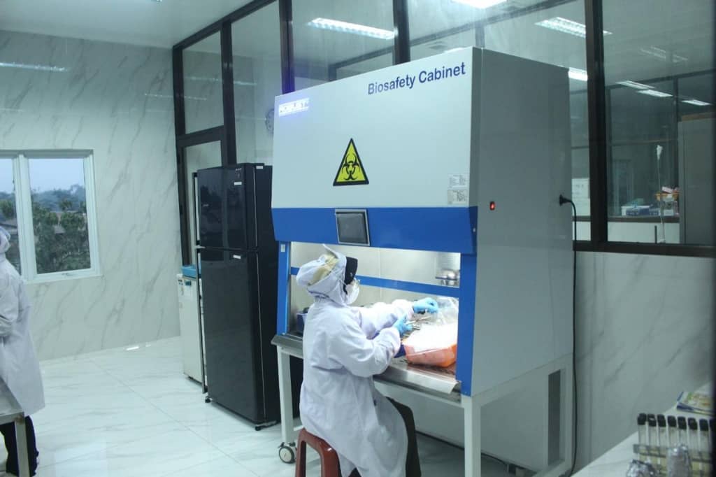 What Is Chitosan? For First-Time Industrial Purchasers: What You Need to Know