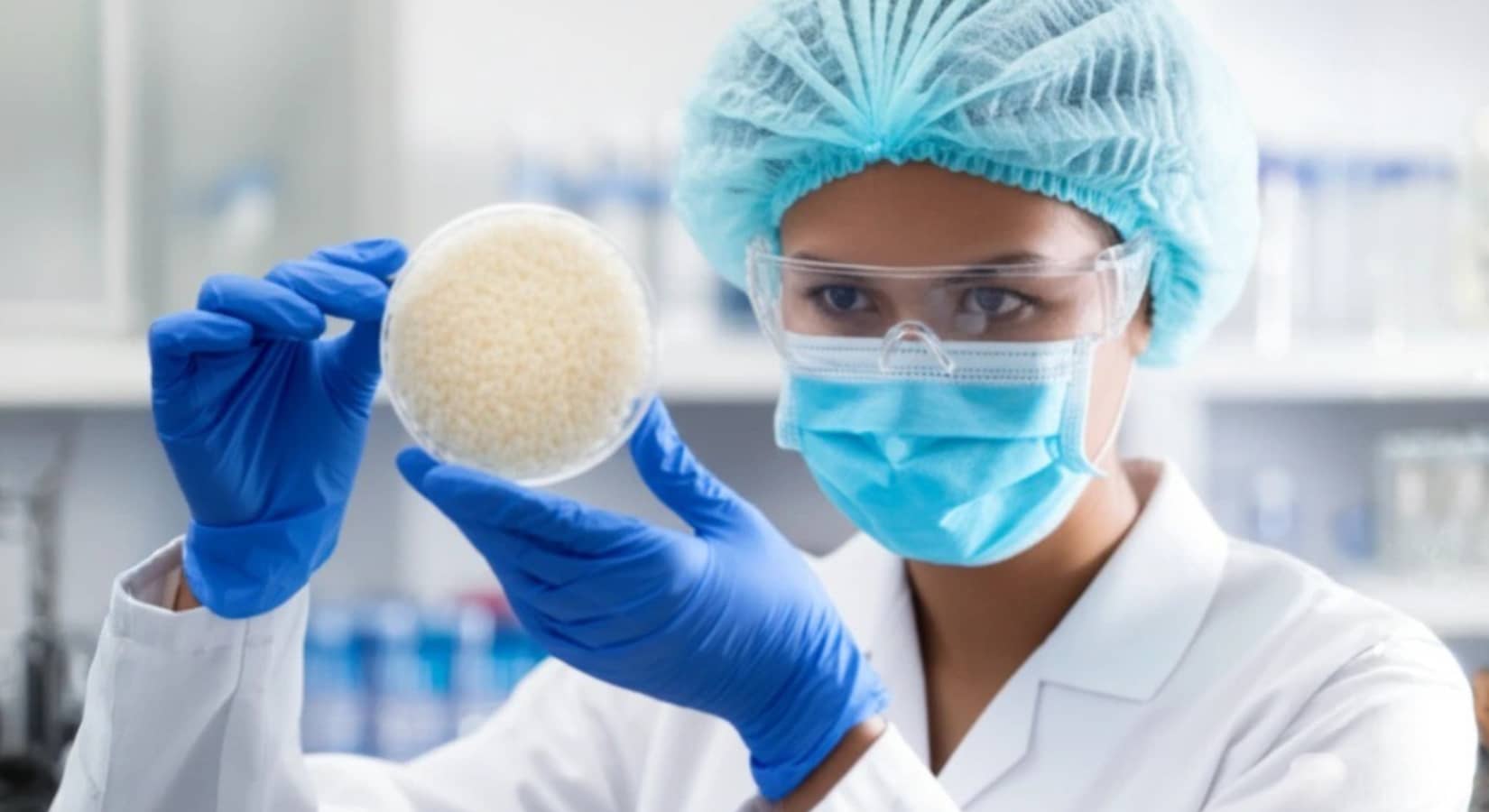 What Is Chitin? A Brief History of Chitin